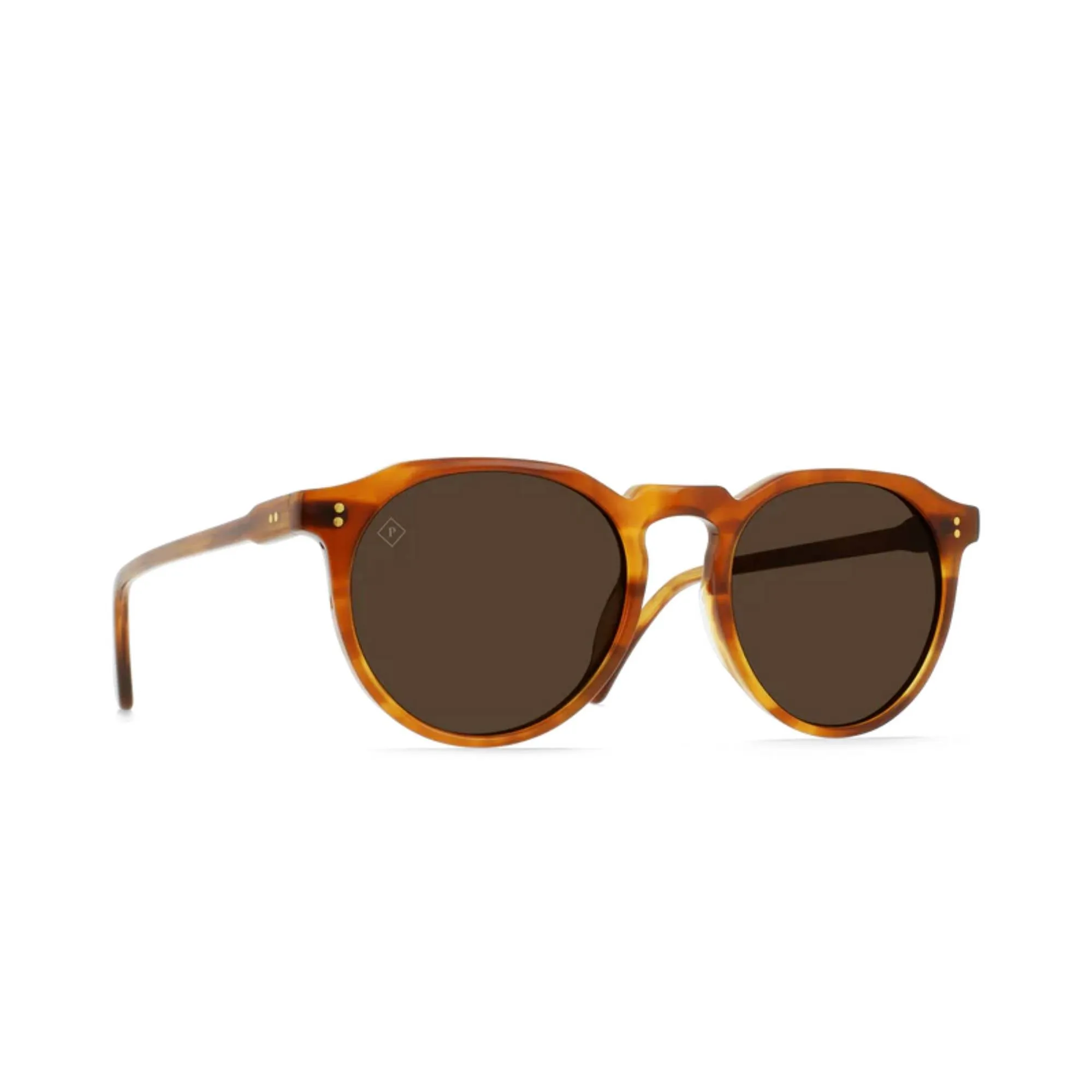Remmy Sunglasses (Santa Fe Tortoise   Vibrant Brown Polarized)