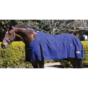 Zilco Blue Mountain Canvas Rug